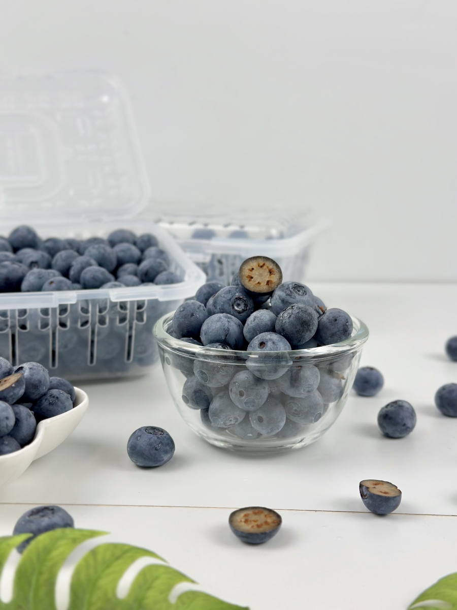 황토흙 재배 GAP 블루베리 생과 고당도 혼합과 500g - 상세 이미지 2