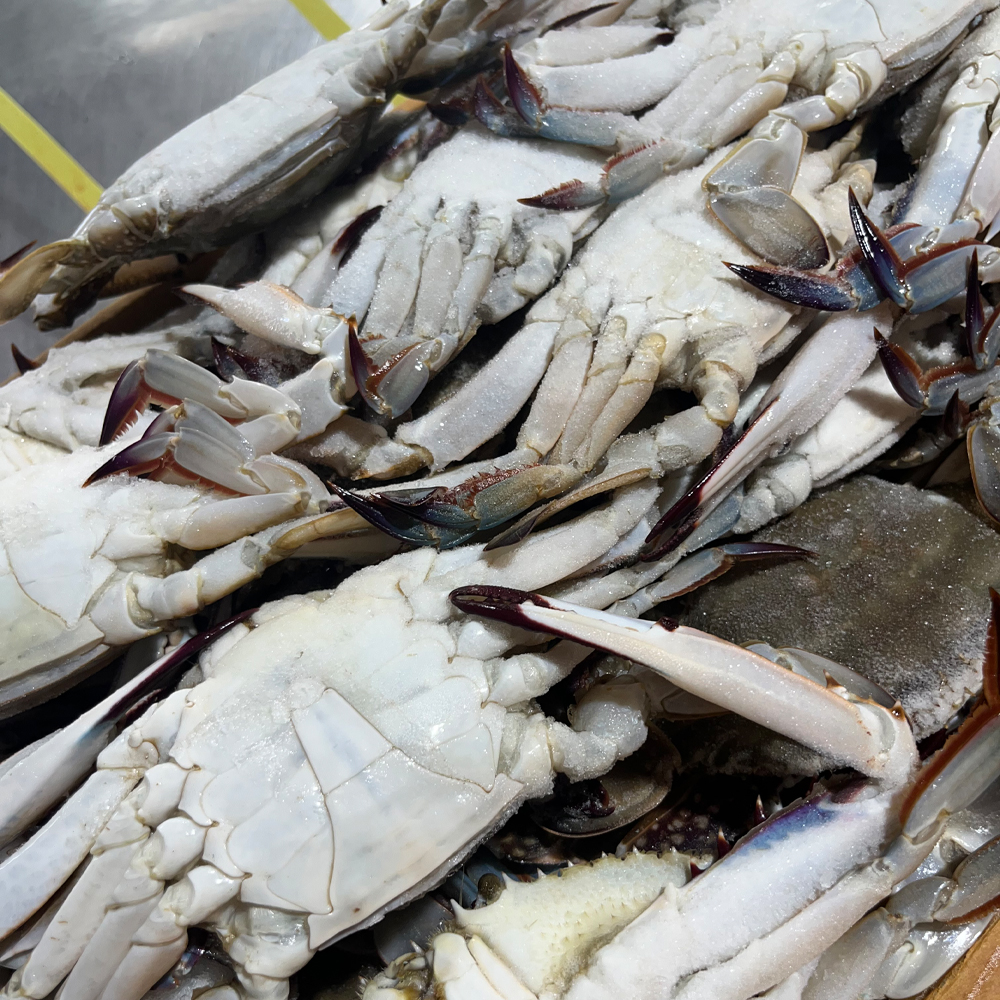 국내산 급냉 숫꽃게 냉동 꽃게 꽃게탕 찌개용 조림용 산지직송 1kg - 상품 이미지