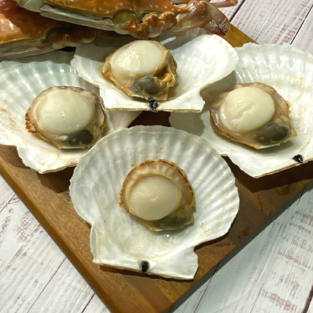 대왕 참 가리비 제철 1kg 산지직송 조개구이 조개탕 찜 - 상세 이미지 4