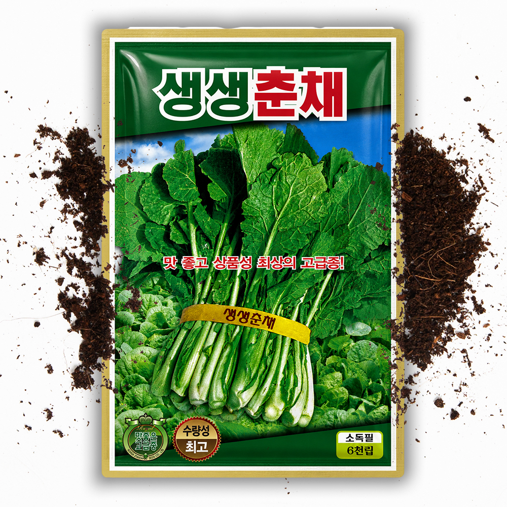 월동 춘채씨앗 6천립 춘채씨 겨울초씨앗 유채나물 종자 - 상품 이미지