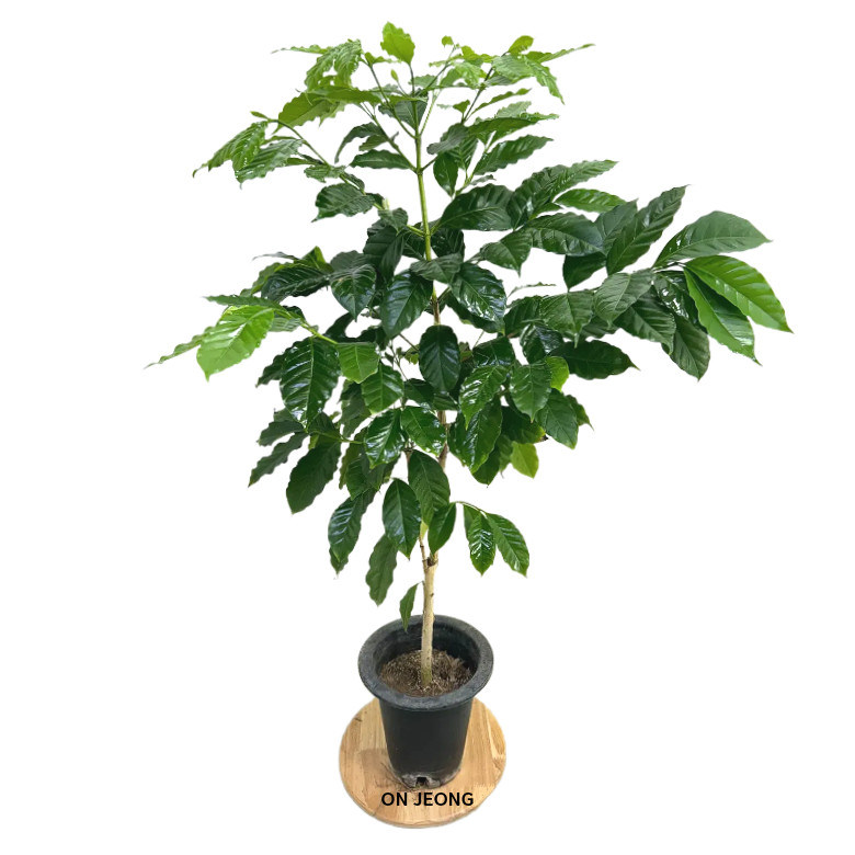 상품 이미지 3