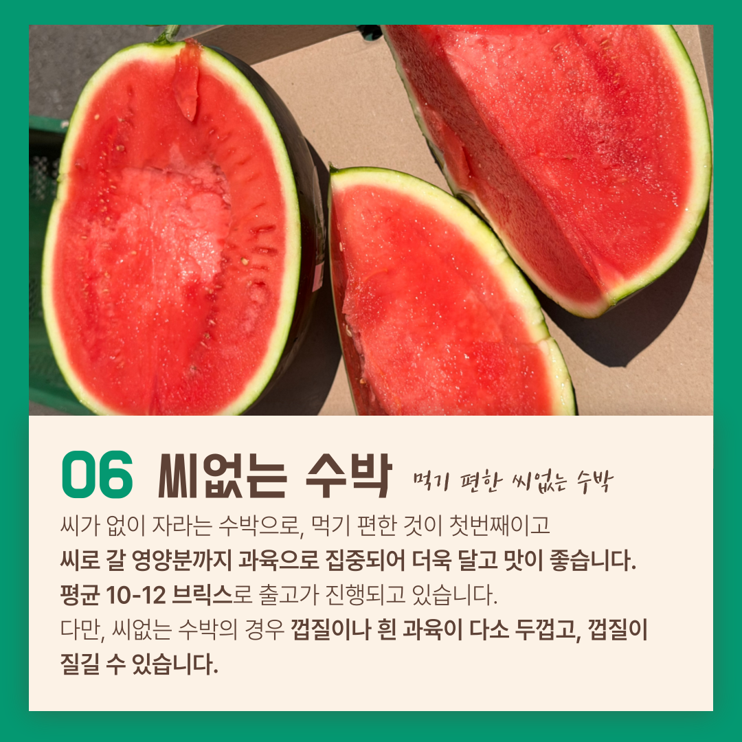 고창 씨없는수박 흑수박 블랙망고수박 애플수박 노란 손질 컷팅수박 4kg 8kg 이미지 7