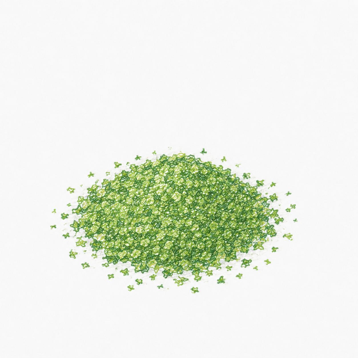 조향 향료 파슬리, 10ml, 1개 - 상세 이미지 4