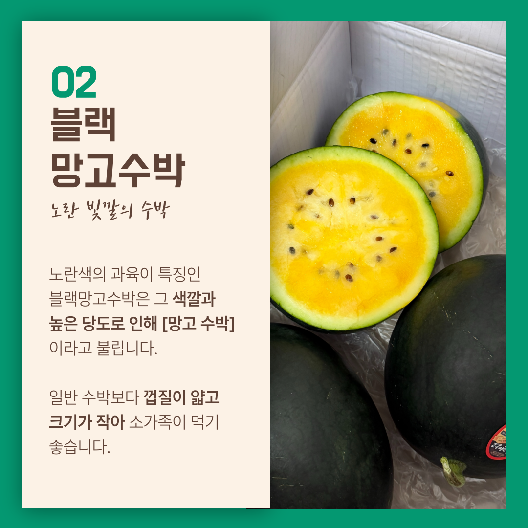고창 씨없는수박 흑수박 블랙망고수박 애플수박 노란 손질 컷팅수박 4kg 8kg - 상세 이미지 4