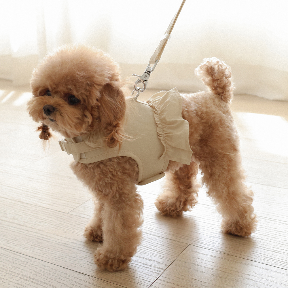 강아지 하네스 옷 소형견 애견 루나프릴 이미지 6
