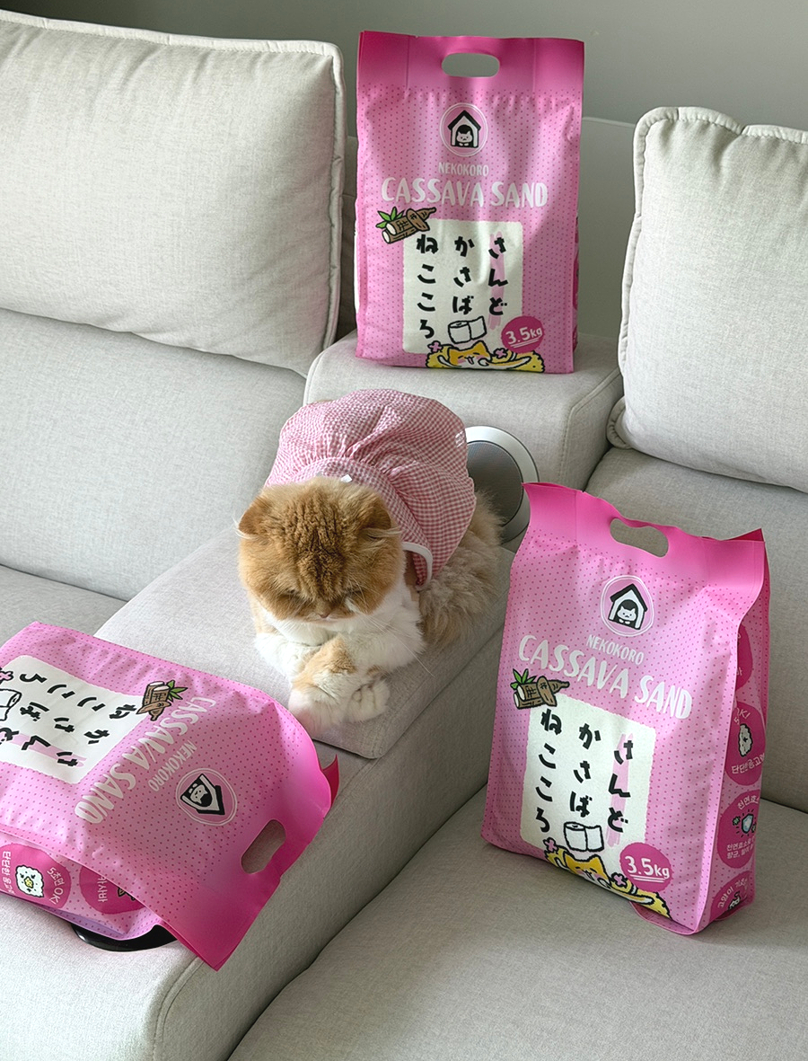 네코코로 먼지없는 벤토나이트형 고양이 카사바 배변 모래 3.5kg 3개입 이미지 6