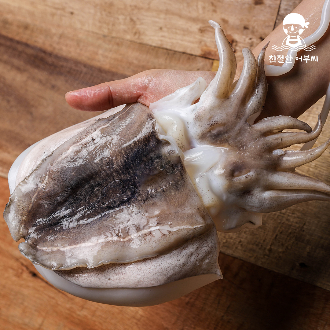 제철 서해안 갑오징어 손질 급냉 구이 숙회 2kg 친절한어부씨 - 상세 이미지 2