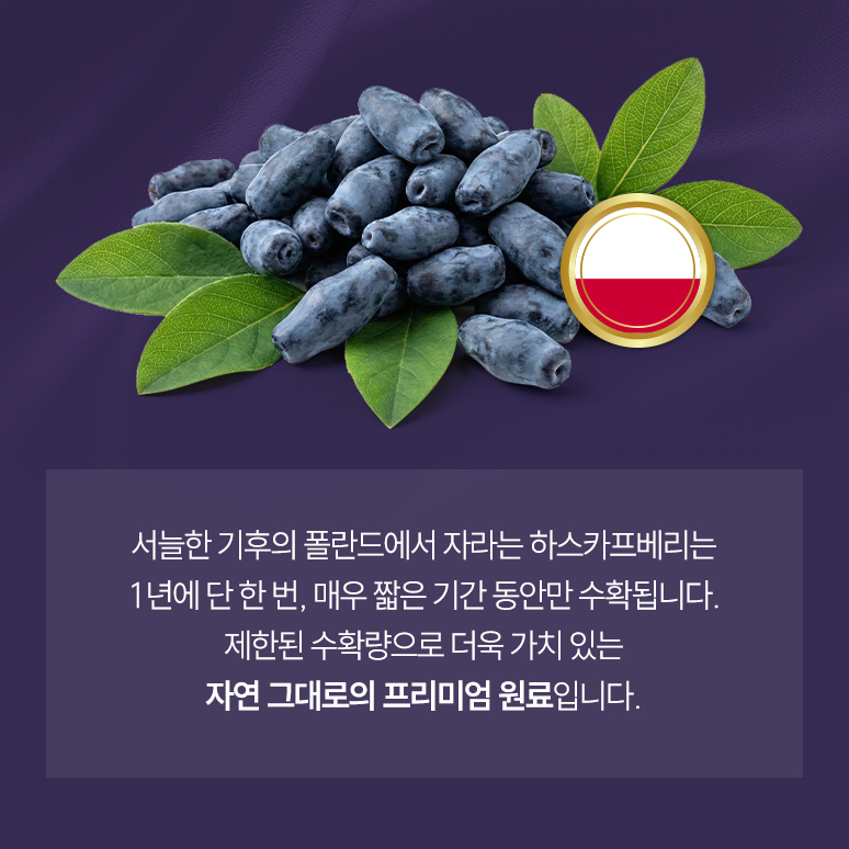 하스카프베리 60정 1통 동결건조 식약처인증 - 상세 이미지 5