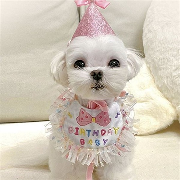 반려동물 강아지 생일 모자 애견 강아지 생일 턱받이 돌잔치 - 상품 이미지