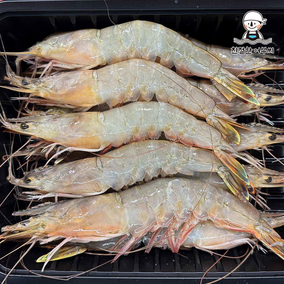 안면도 자연산 대하 냉동 대하구이 왕새우 캠핑새우 친절한어부씨 - 상세 이미지 2