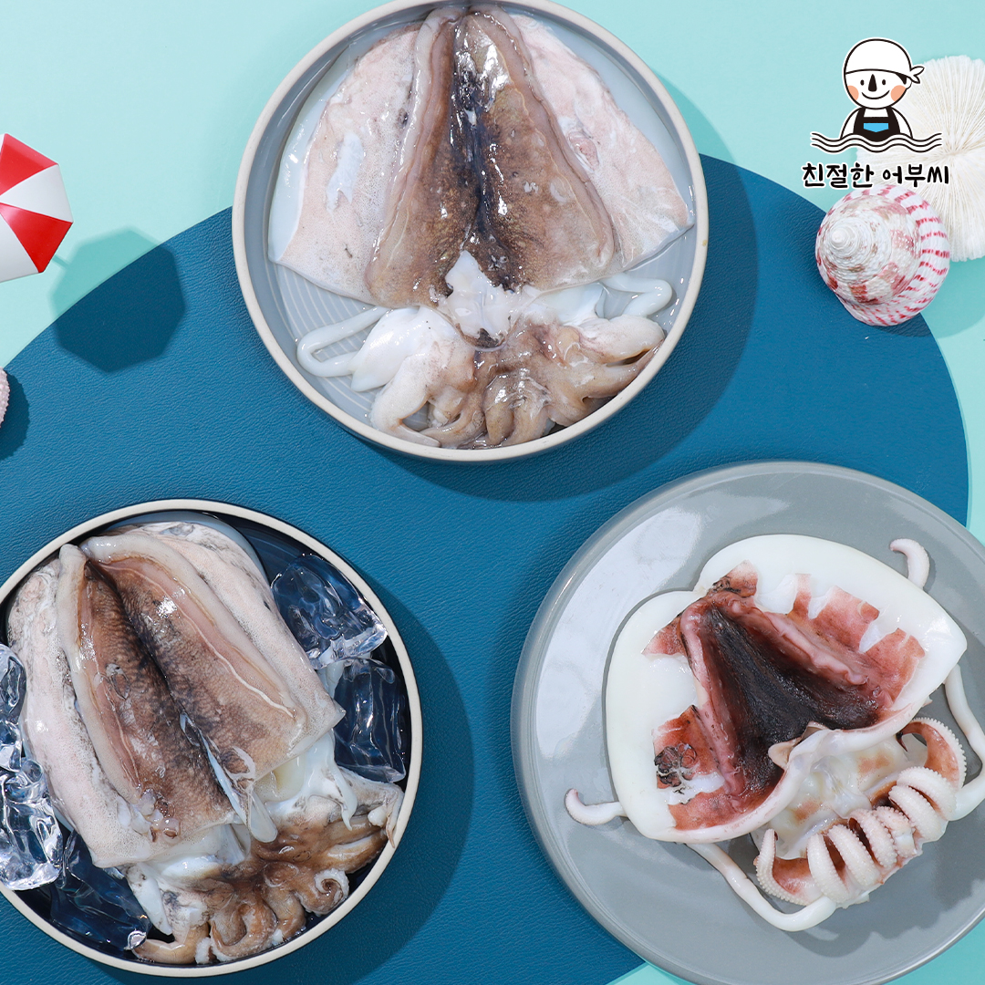 손질갑오징어 1마리 개별포장 갑오징어볶음 숙회 냉동 친절한어부씨 이미지 8