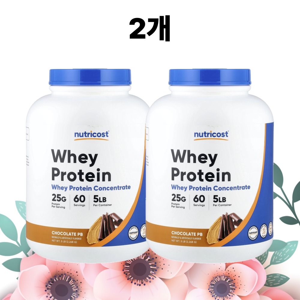 웨이 프로틴 뉴트리코스트 초코 피넛버터맛 2268g, 2개 - 상품 이미지