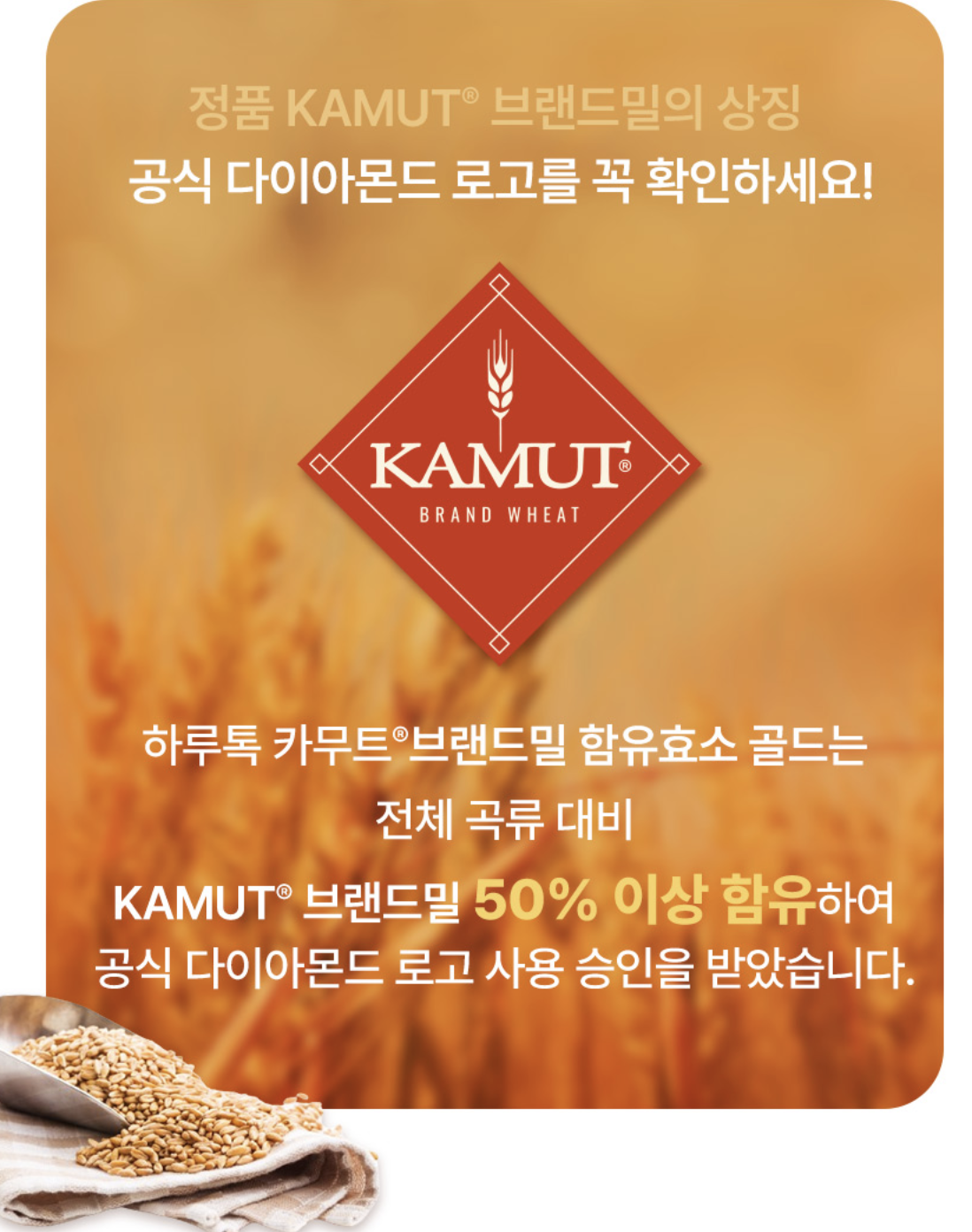 복합효소 제품 캬무트 100만효소 역가수치 카무트 브랜드밀 효소 골드 이미지 6