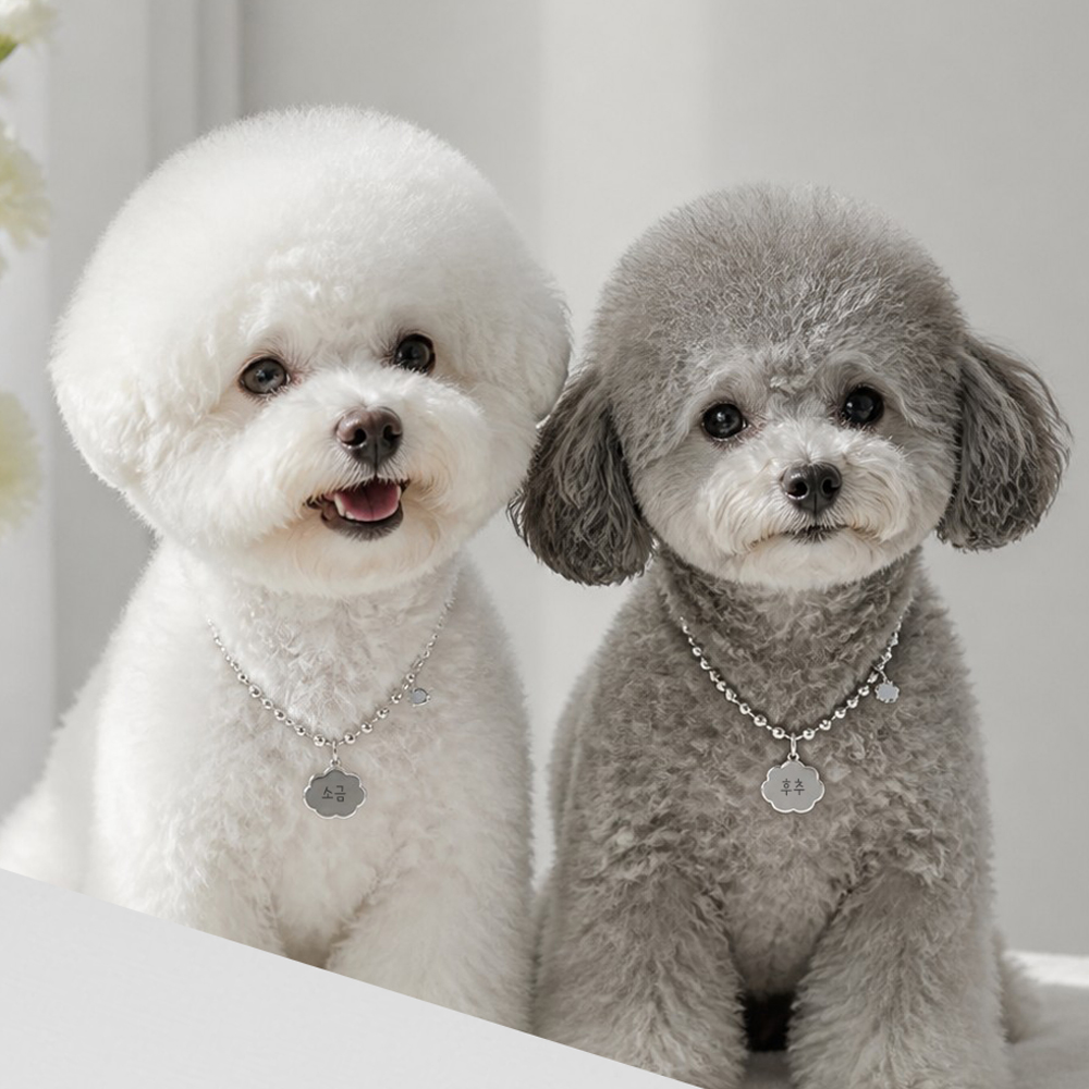 강아지 목걸이 인식표 써지컬 소재 고양이 이름표 구름 - 상세 이미지 4