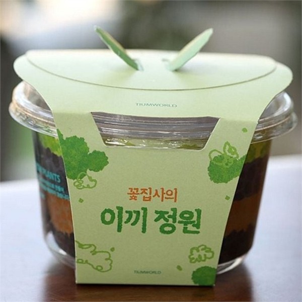키우기 이끼 테라리움 테이블 양지 이끼 테라리움 가드닝 키트 책상 - 상품 이미지