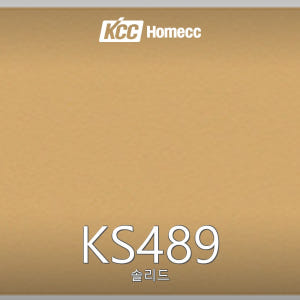 KS489