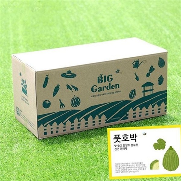 원예용 저면관수 화분 가정용 베란다 텃밭 재배 상자 키트 - 상세 이미지 2