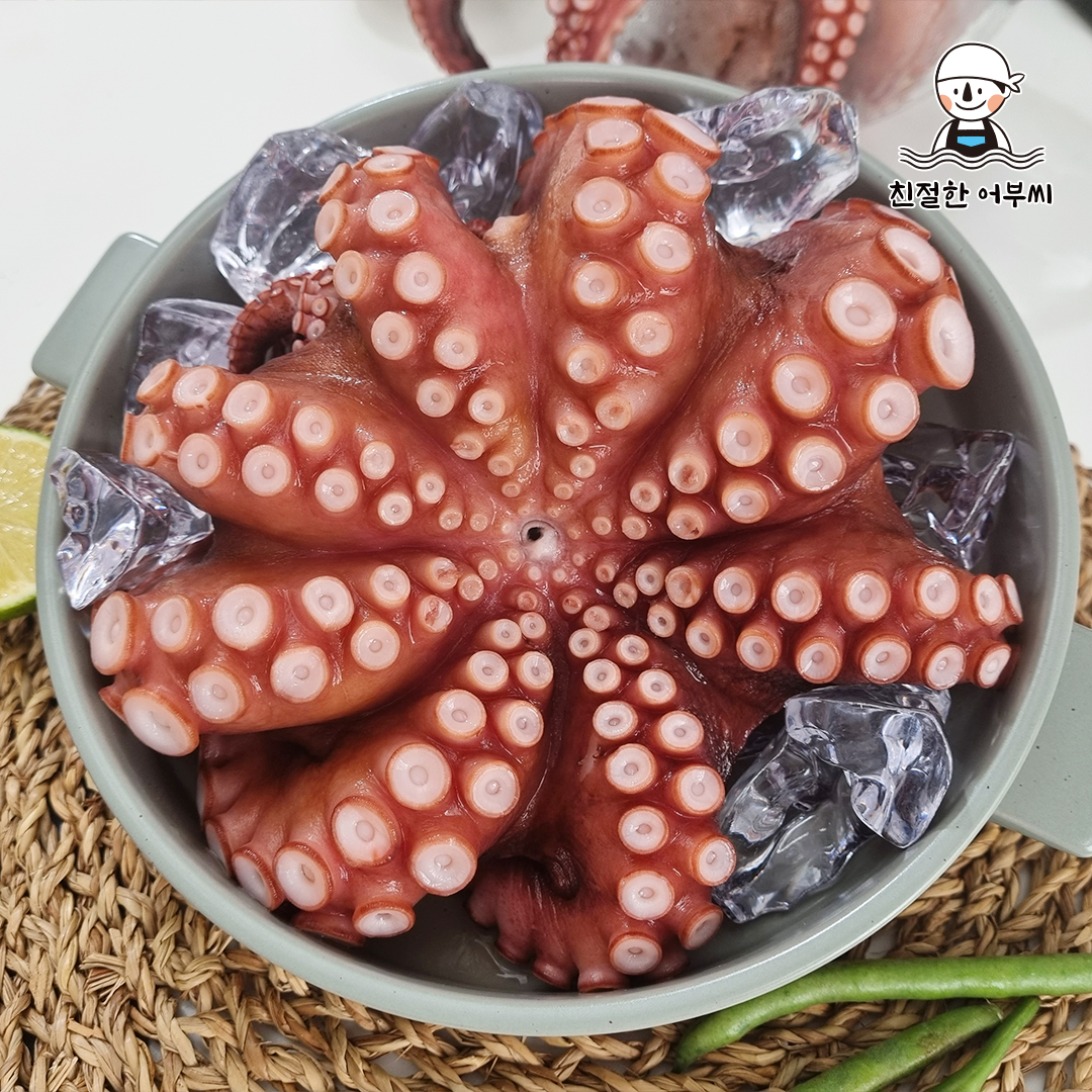 자숙 문어 돌문어 숙회 냉동 자연산 손질 1미 수산물이력제 친절한어부씨 1.2kg, 1개 이미지 6