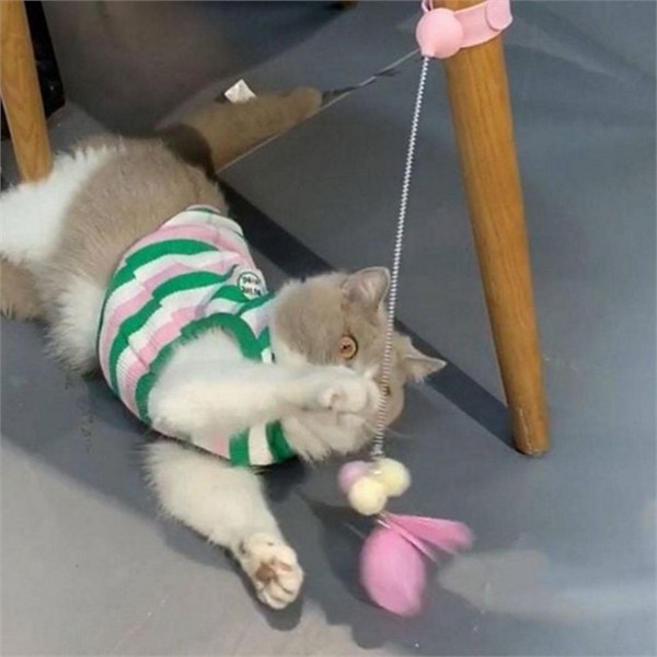 깃털 고양이 사냥 장난감 흔들 반려묘 사냥 장난감 놀이 활동 - 상세 이미지 2