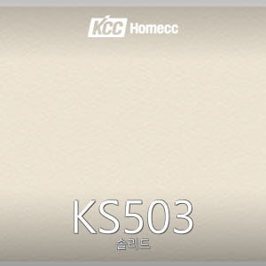 KS503