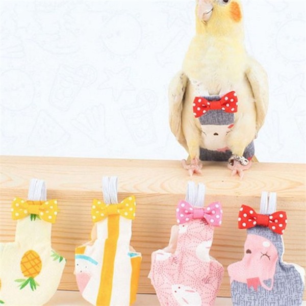 애완조 앵무새 기저귀 비둘기 앵무새 옷 배변 외출 산책 용품 - 상품 이미지