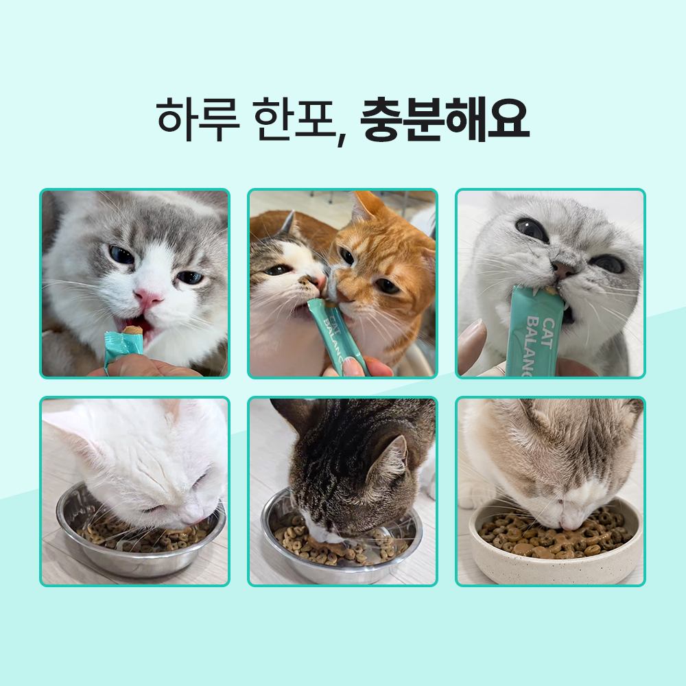 닥터바이 캣밸런스핏 고양이 다이어트 영양제 비만 체중 혈당 관리 30포, 1개 - 상세 이미지 3