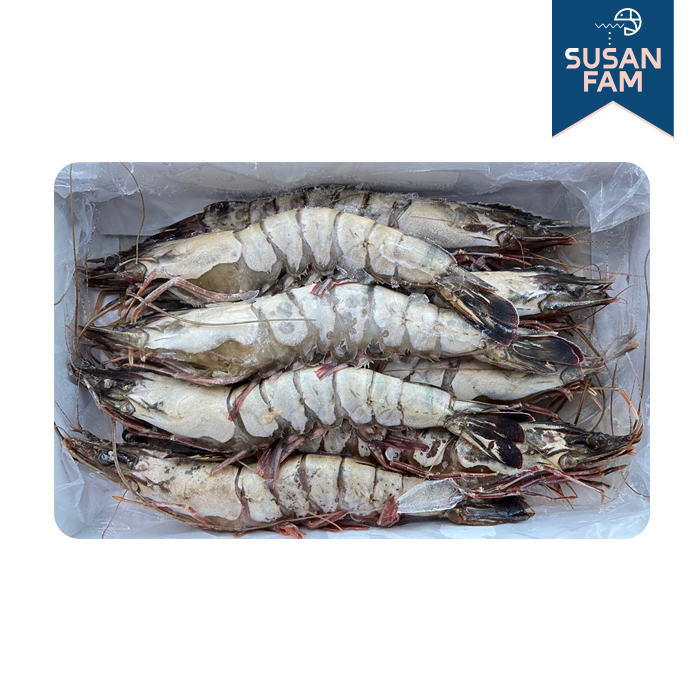 블랙타이거 새우 500g (4-25미) 냉동새우 홍다리얼룩새우 - 상세 이미지 4
