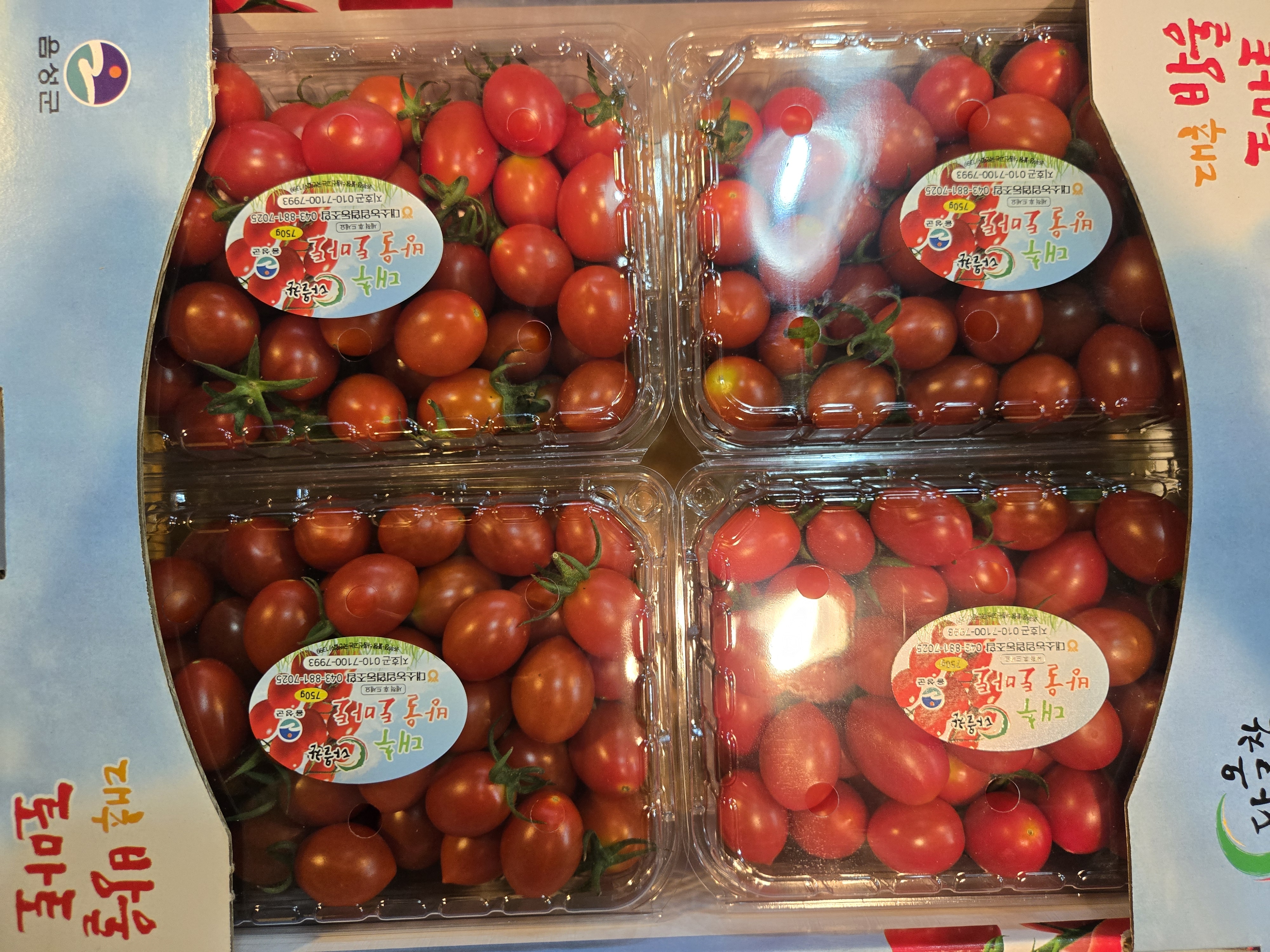 윗집아들네 방울토마토 대추방울토마토 3kg (750g x 4팩) 이미지 7