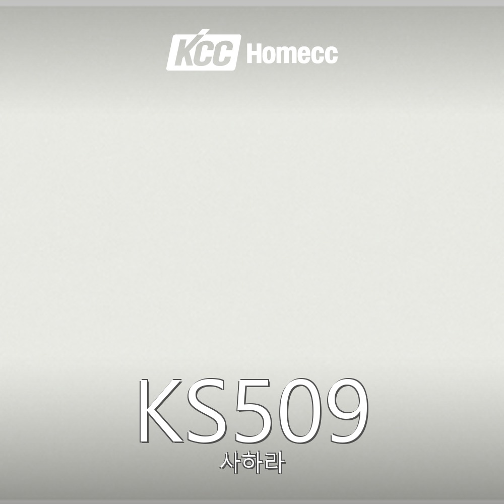 KS509
