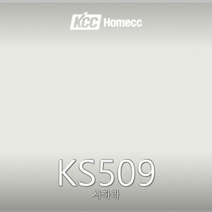 KS509