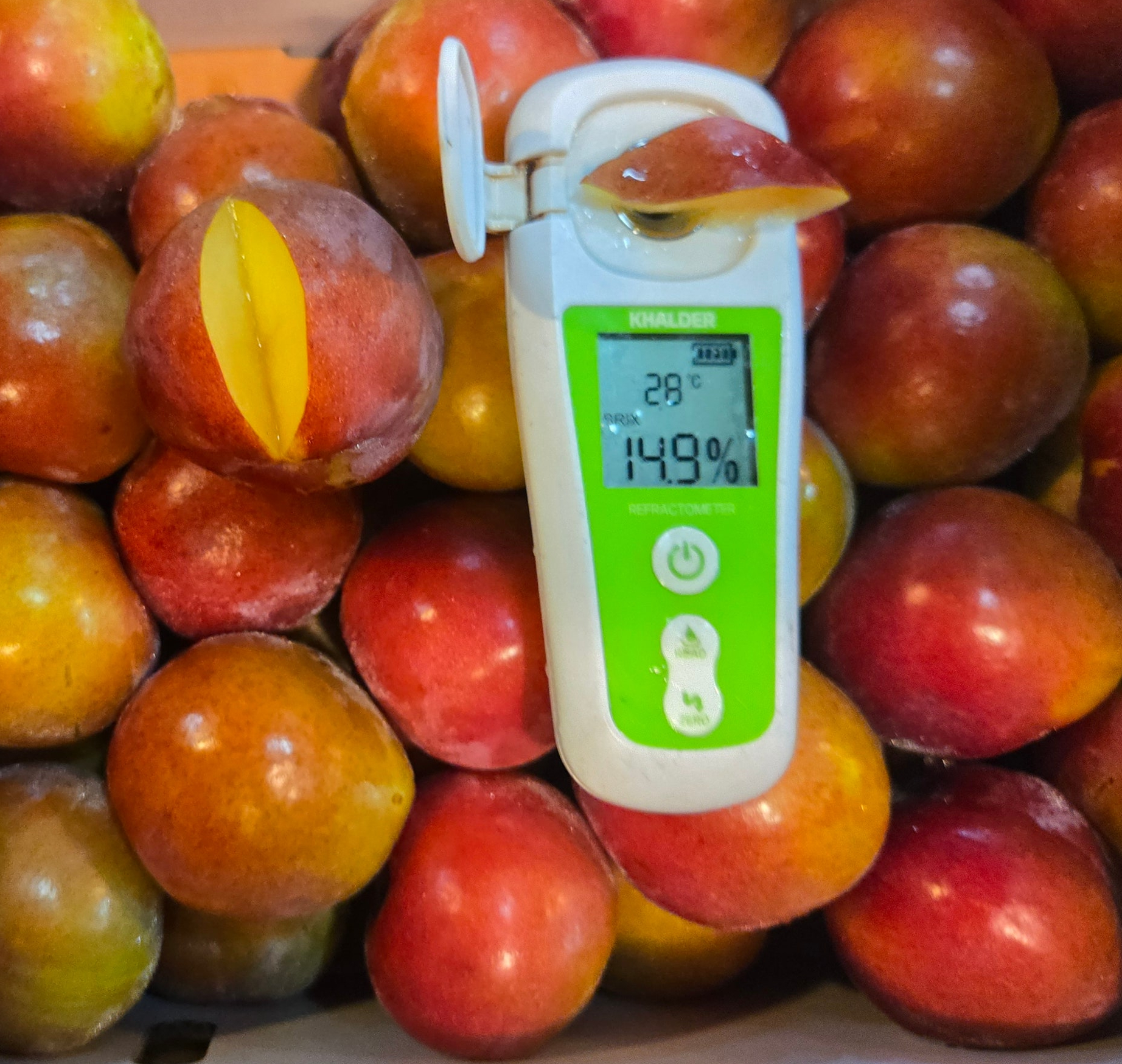 윗집아들네 도담자두 왕자두 2.5kg 5kg - 상세 이미지 2