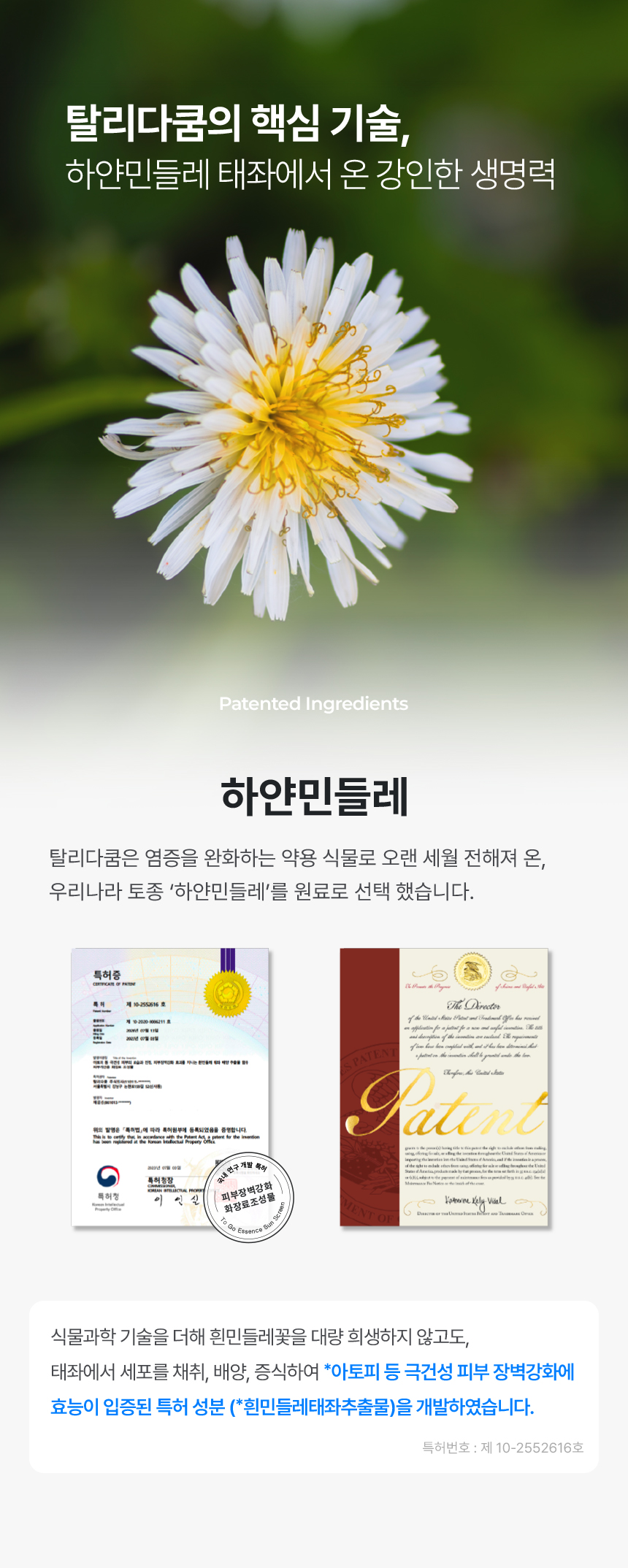 タリサコム 韓国日焼け止め