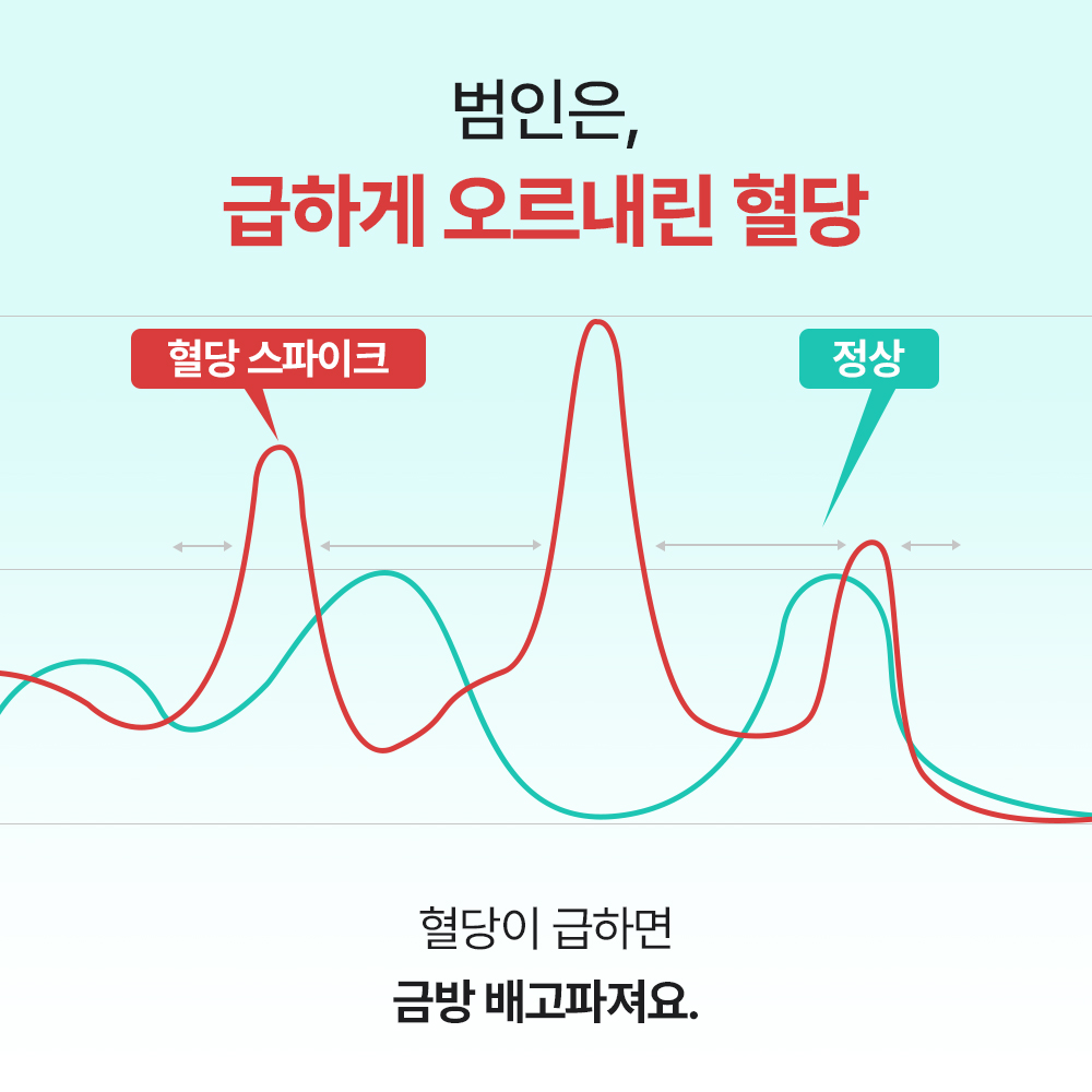 닥터바이 캣밸런스핏 고양이 다이어트 영양제 비만 체중 혈당 관리 30포, 1개 - 상세 이미지 5
