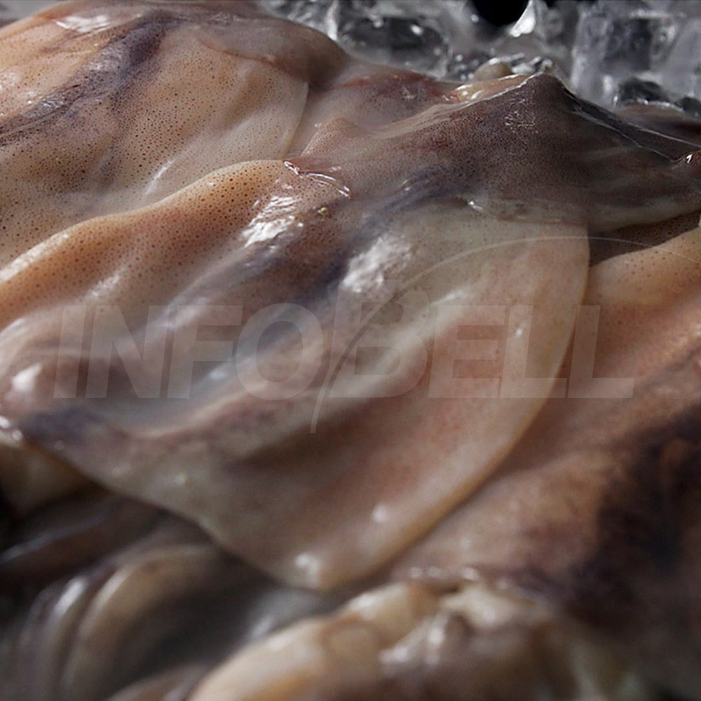 최성만 장인 청해대왕 자연산 손질 통오징어 12미 수산시장 숙회 찜 간편 가정 냉동 오징어 이미지 7
