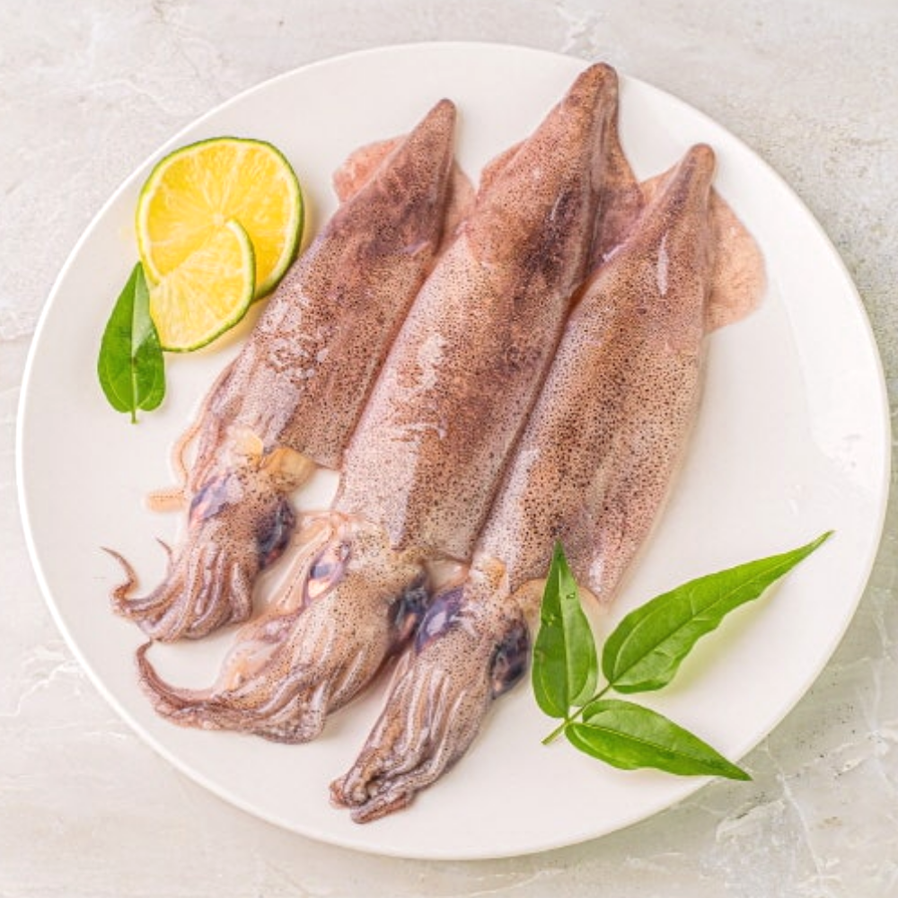 제철 선동 총알 한지 500g 찜 초코 - 상품 이미지