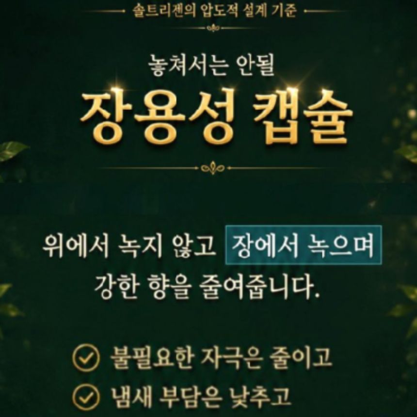 솔잎증류농축액 송침유 적송유 비타e효능 오일 기름 솔잎차 더 솔트리젠 골드 파인 장용성 솔입 - 상세 이미지 3