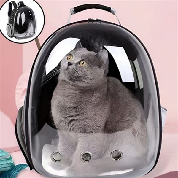 강아지 반려동물 이동가방 통풍 고양이 이동가방 백팩 외출 운반 이동 - 상세 이미지 2