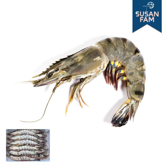 블랙타이거 새우 500g (4-25미) 냉동새우 홍다리얼룩새우 - 메인 이미지