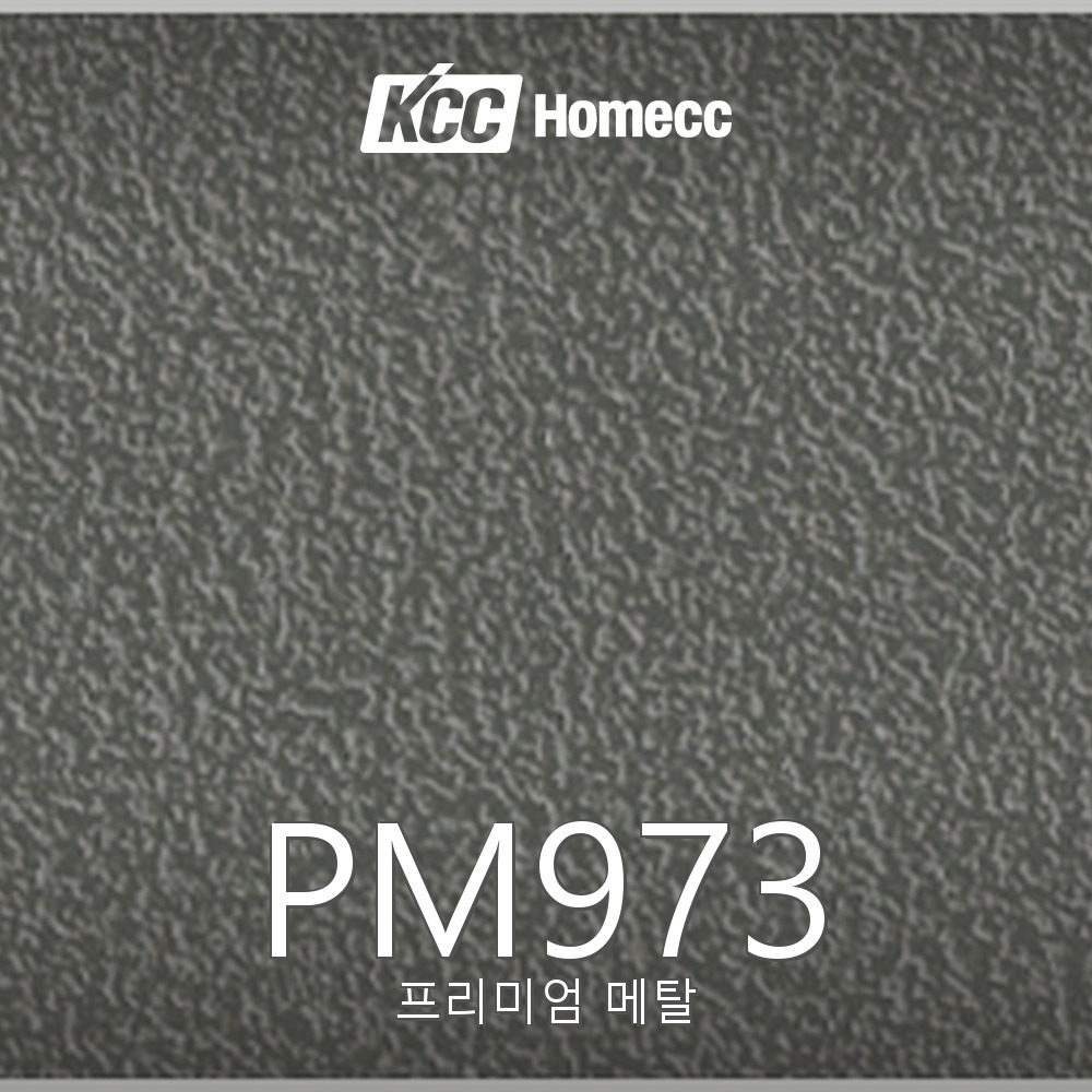 PM973