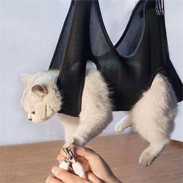반려동물 애견 미용 해먹 강아지 고양이 미용 해먹 목욕 셀프 - 상세 이미지 2
