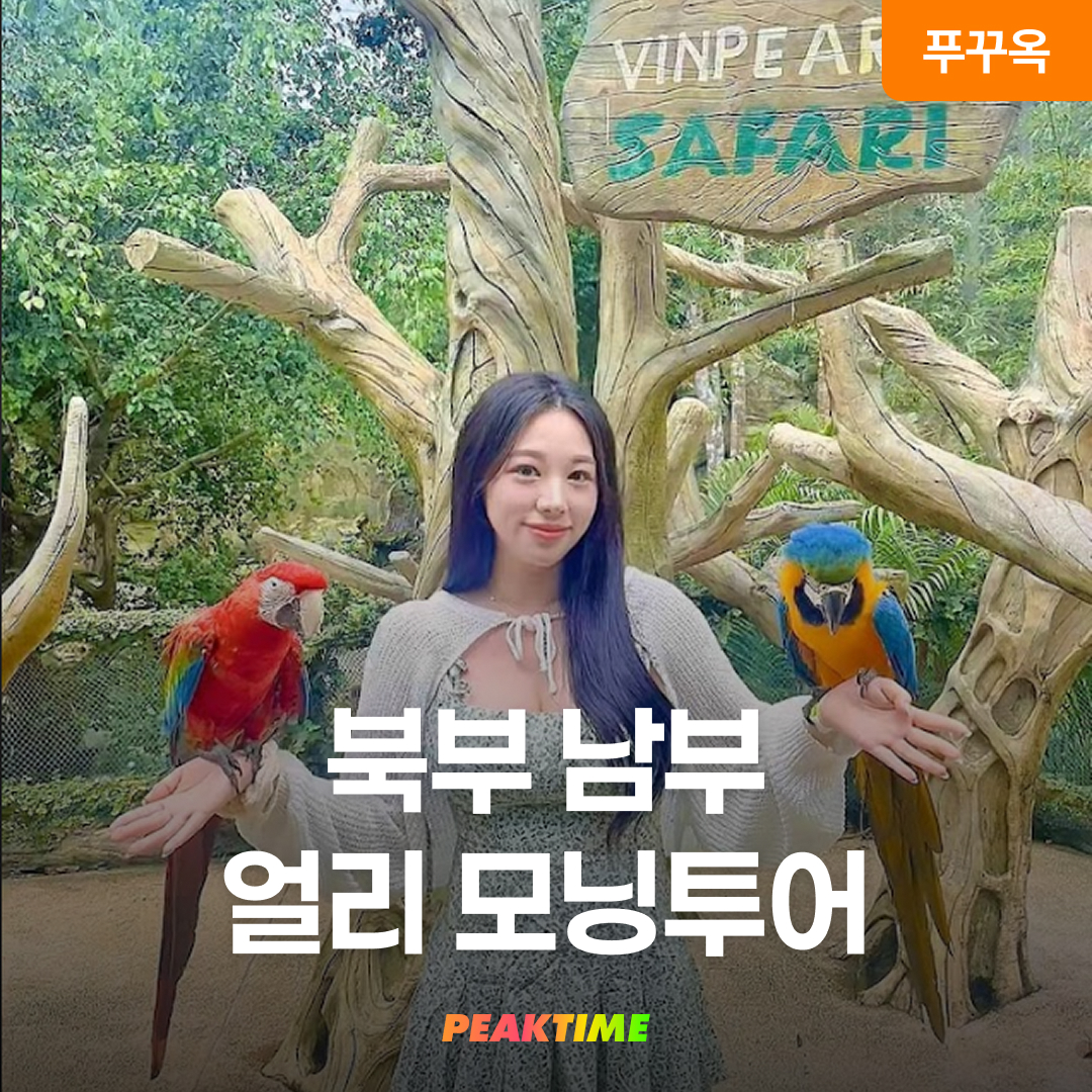 푸꾸옥 북부 사파리 얼리모닝투어 마사지 픽업 샌딩 포함 - 상품 이미지