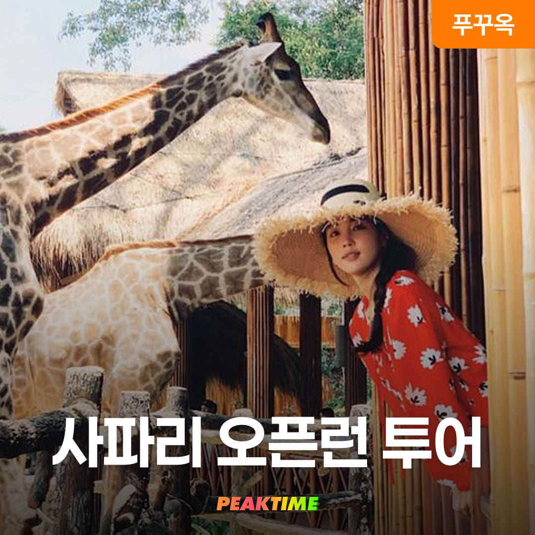 피크타임:PEAKTIME 푸꾸옥 북부 사파리 오픈런 투어 픽업샌딩