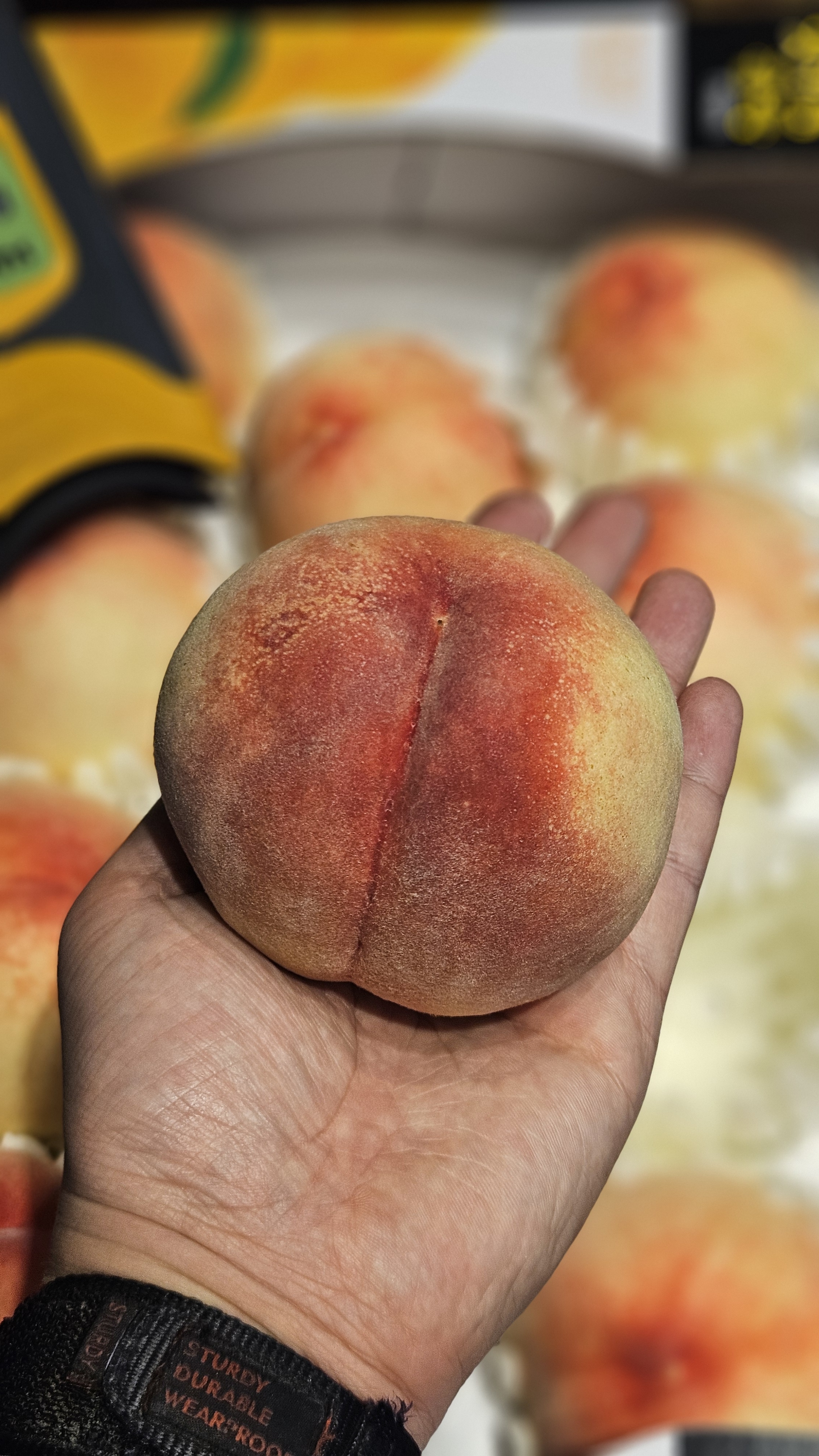 윗집아들네 프리미엄 백도 딱딱이복숭아 말랑이복숭아 4kg 10kg - 상세 이미지 4