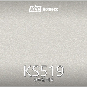 KS519
