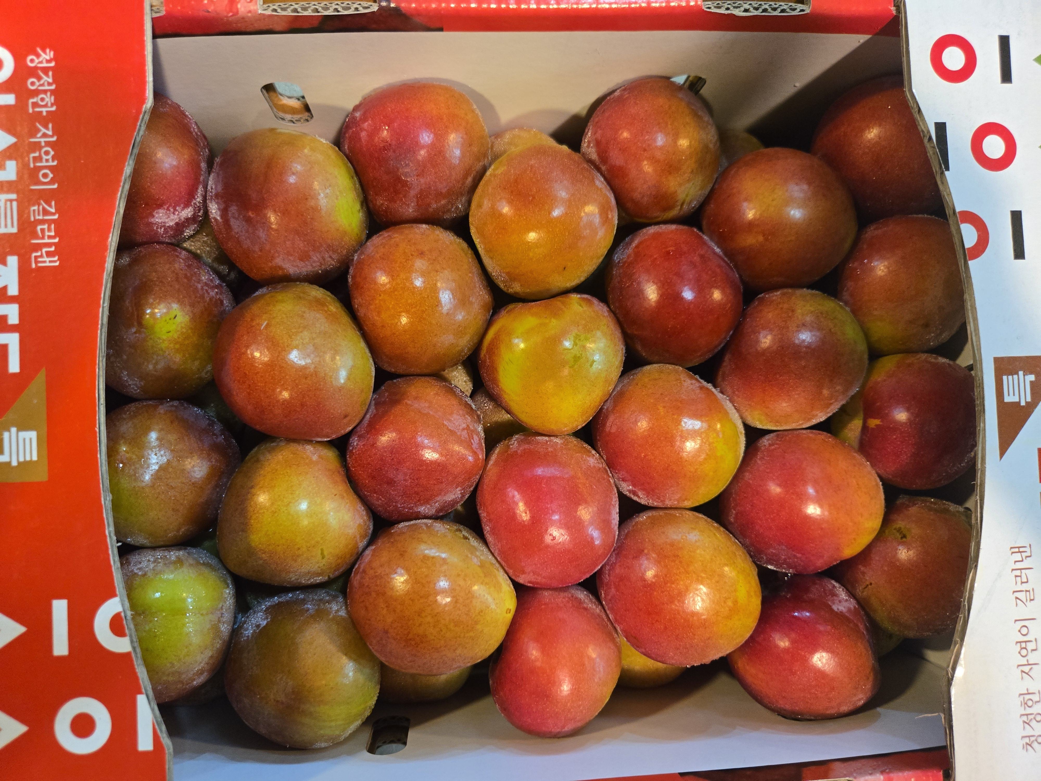 윗집아들네 도담자두 왕자두 2.5kg 5kg - 상세 이미지 3