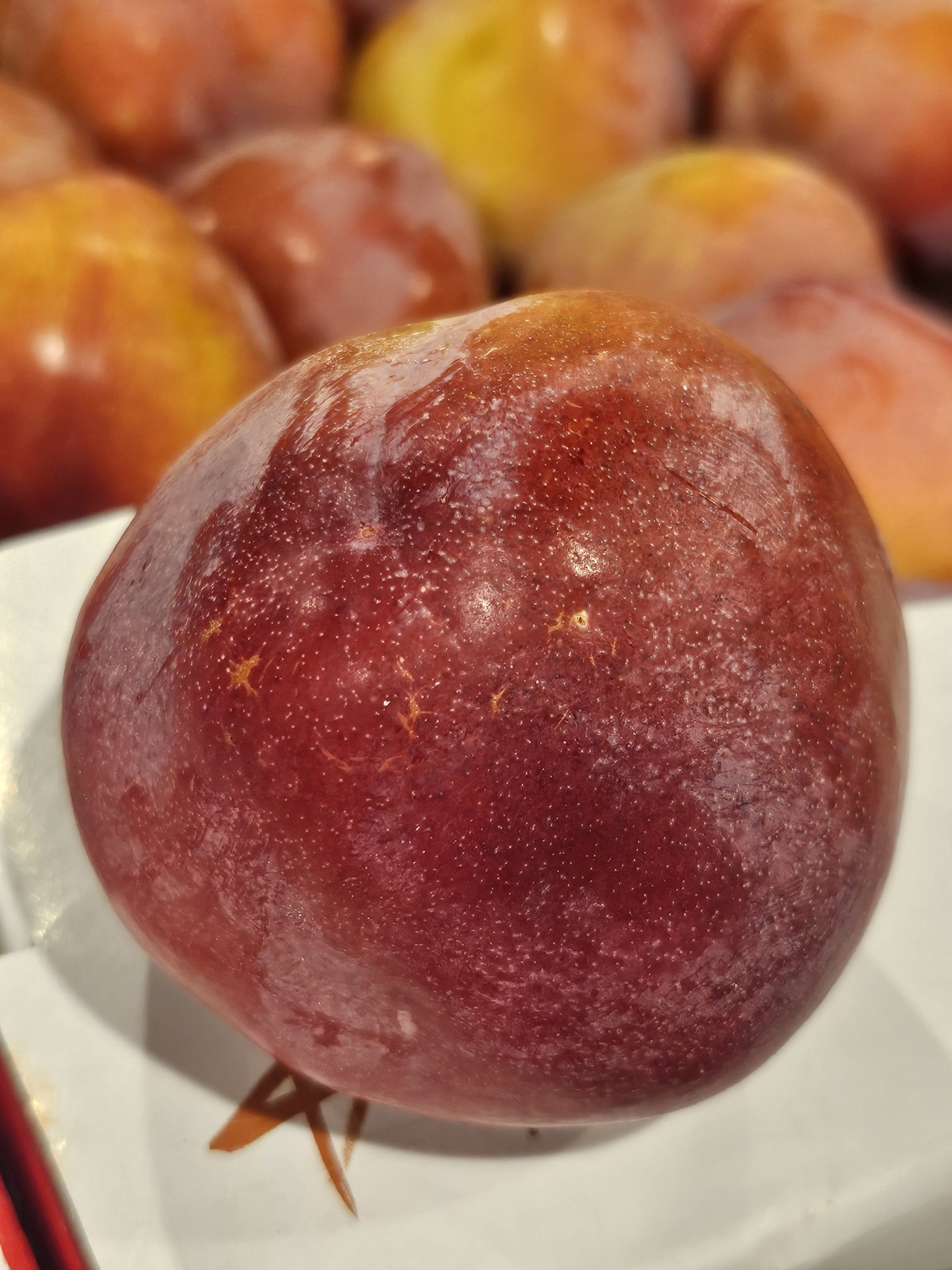 윗집아들네 도담자두 왕자두 2.5kg 5kg - 상세 이미지 5
