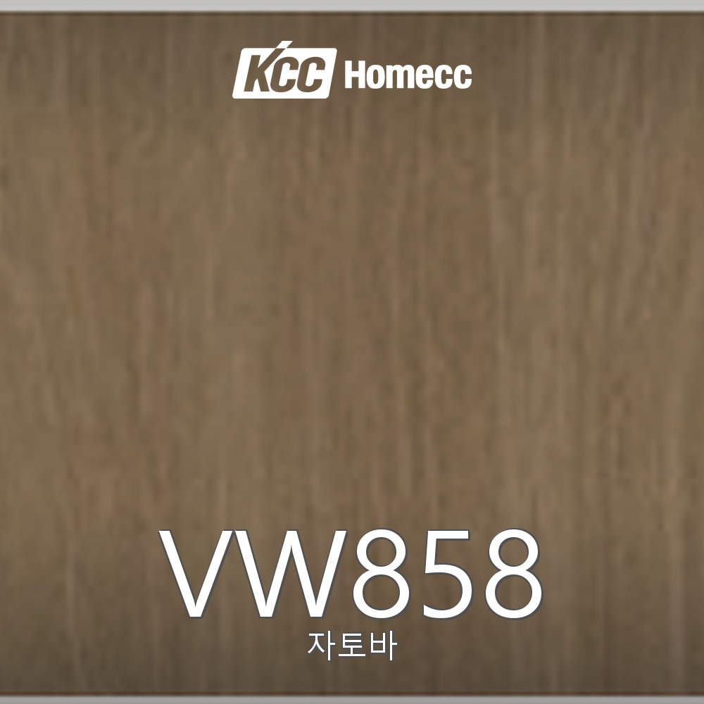 VW858