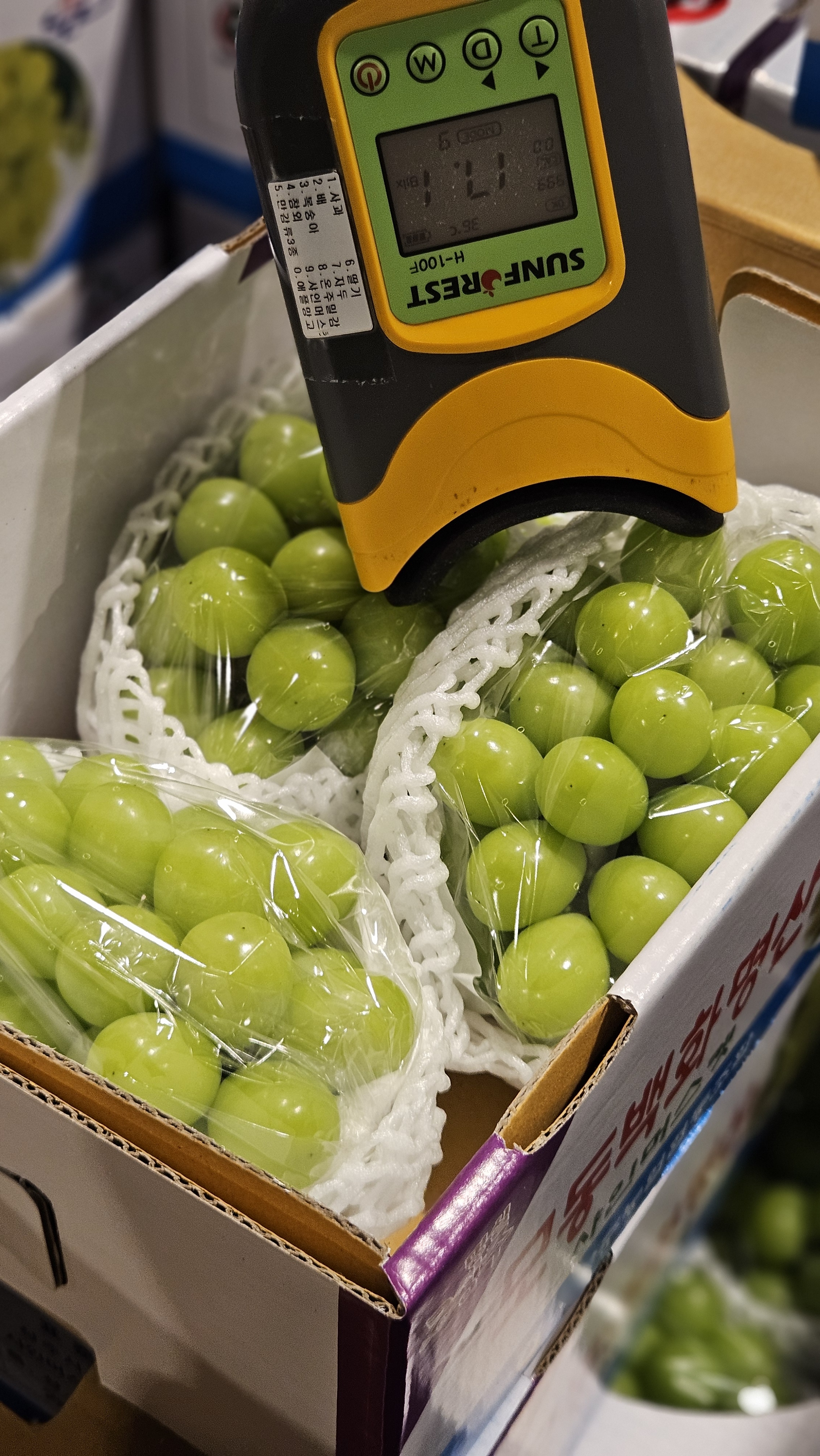 윗집아들네 프리미엄 샤인머스캣 샤인머스켓 망고포도 특품 2kg 이미지 8