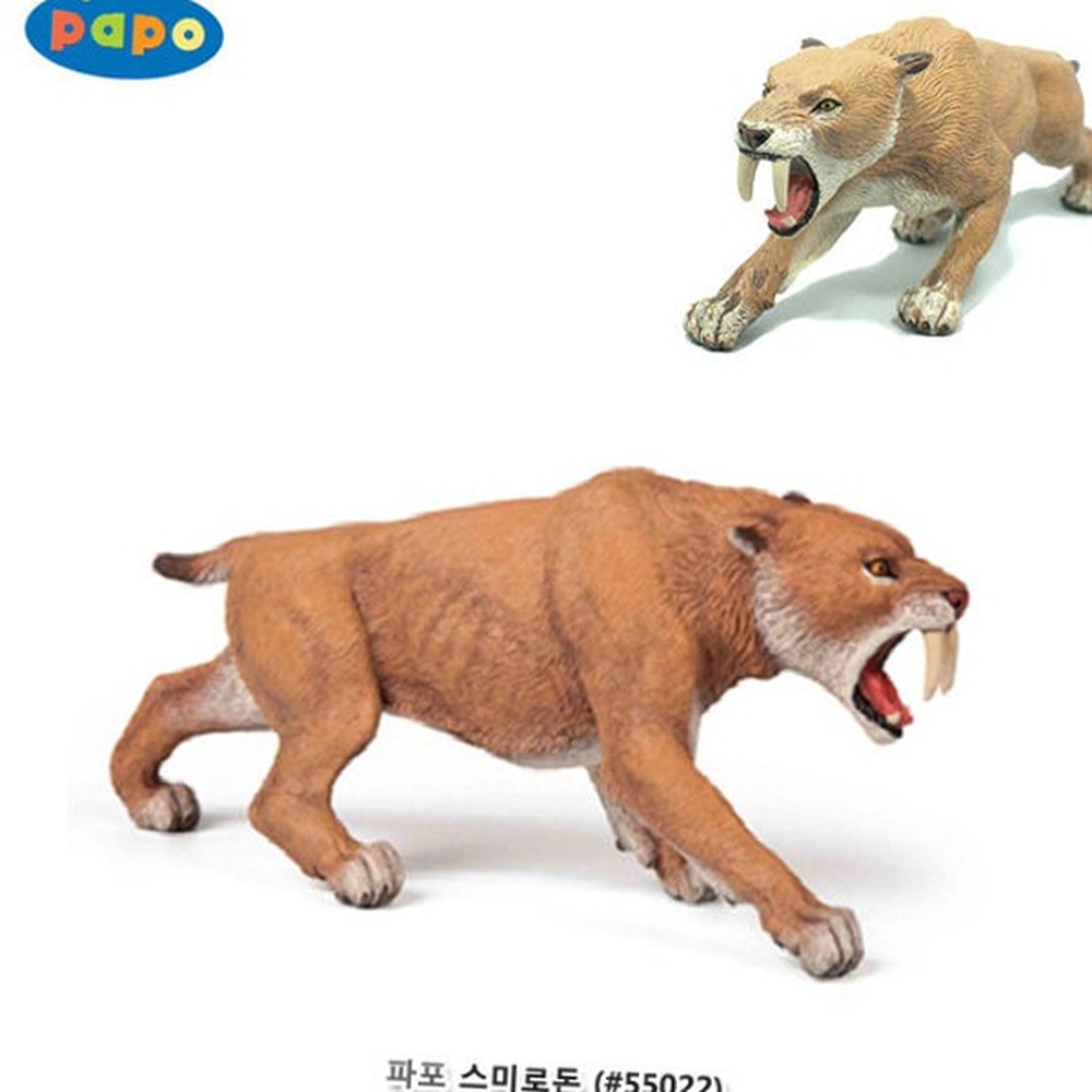 프랑스조형학습교구스미로돈피규어 디테일묘사자연관찰공룡모형 실사재현생물교육스미로돈모형 - 상품 이미지