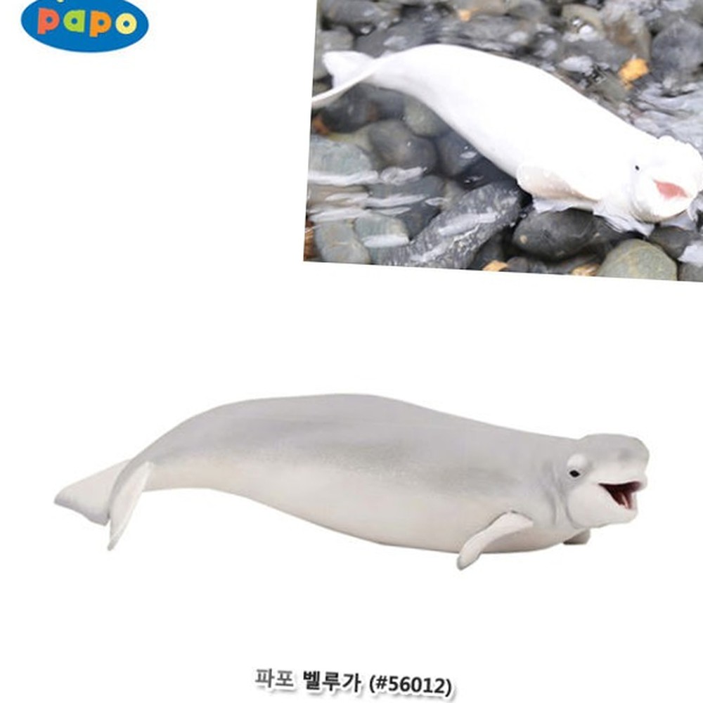 미니어쳐인테리어소품흰돌고래모형 수중생물장식용해양동물모형 데스크테리어벨루가피규어 - 상품 이미지